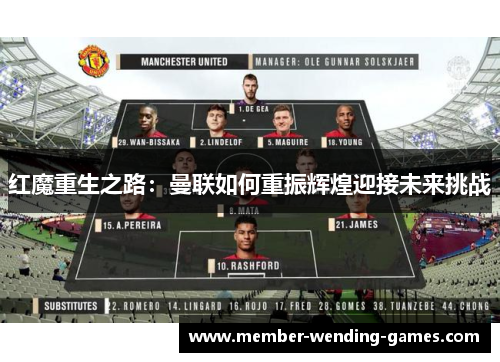 红魔重生之路：曼联如何重振辉煌迎接未来挑战