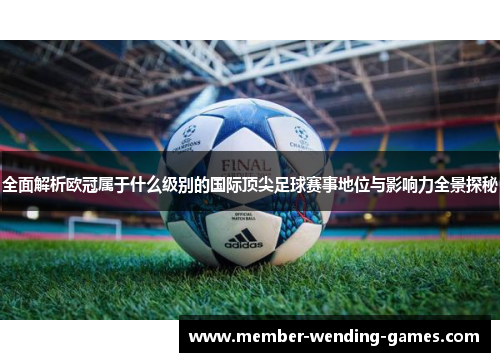 全面解析欧冠属于什么级别的国际顶尖足球赛事地位与影响力全景探秘